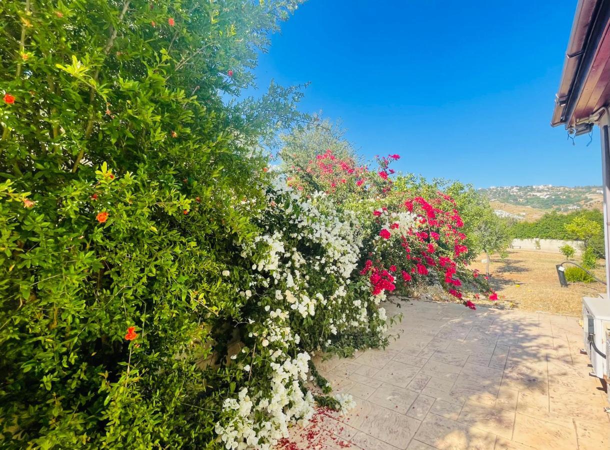 Paphos Beautiful Home מראה חיצוני תמונה