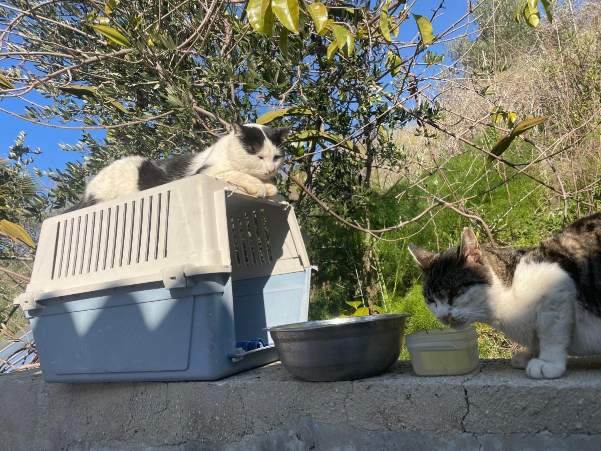 Paphos Beautiful Home מראה חיצוני תמונה