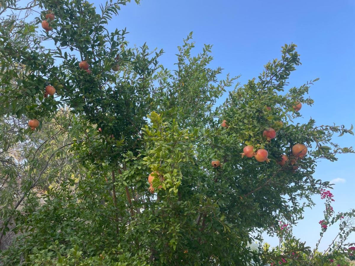 Paphos Beautiful Home מראה חיצוני תמונה